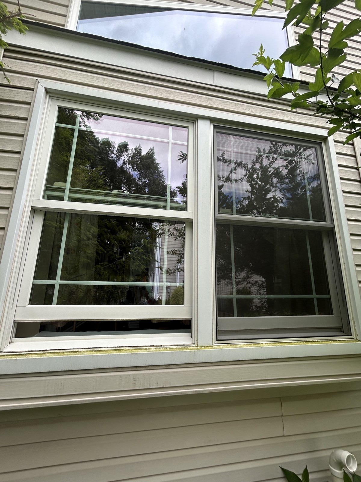 Before Fresh Wash window cleaning — dirty windows with algae along the sill